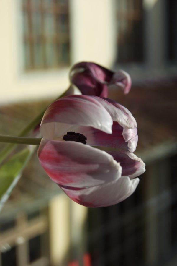 61D67188-FF3A-4BFC-9613-7C9ADB393C28_1_105_c